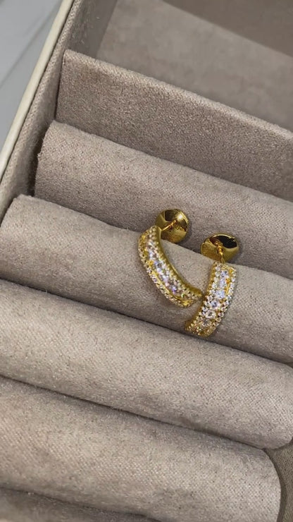 Arianny Earrings